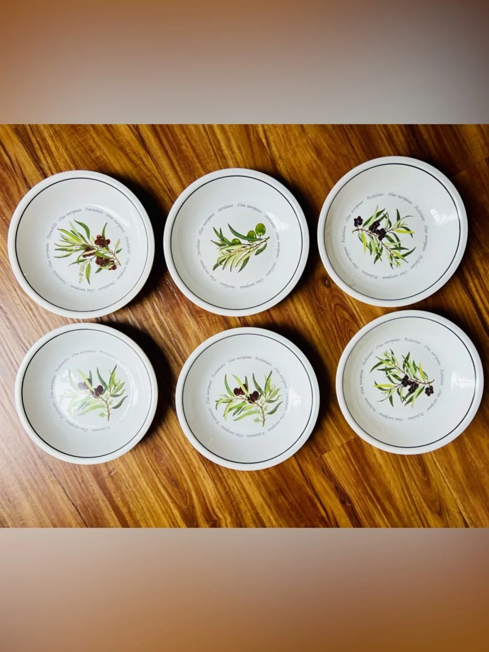 Williams Sonoma Set 6 Pasta cioppino Bowls 9 1/2” Olives Kalamata Olea Europaea